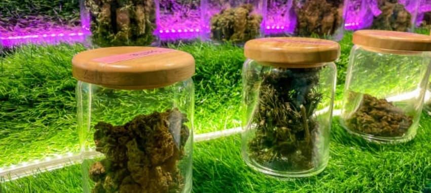 Praktyczny przewodnik IBVAPE jak zrobic baze 70 30 krok po kroku i sprawdzone wskazówki IBVAPE dla mieszania