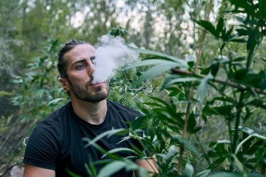 Praktyczna recenzja e-sigara i alegro box 100 vat e papieros z opiniami i poradami zakupowymi