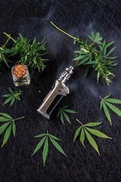 Transmisja na żywo i przewodnik po <a href=